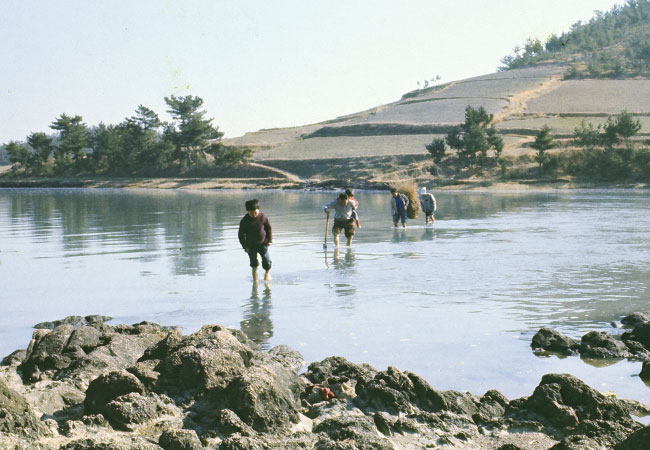 Residents wade through seawater during low(photo in 1970s)