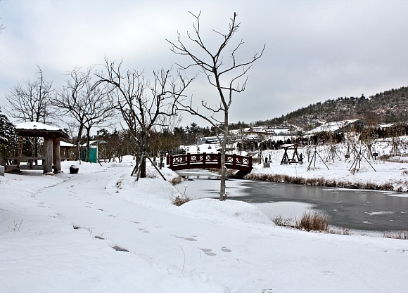 2012년 12월 압해읍 분재공원 1