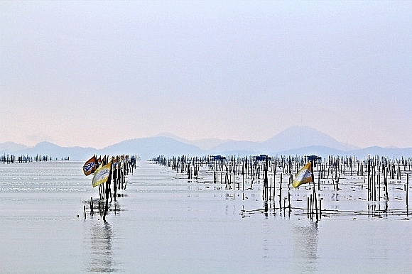 2012년 12월 압해읍 분재공원 - 분재공원앞의 바닷가 6