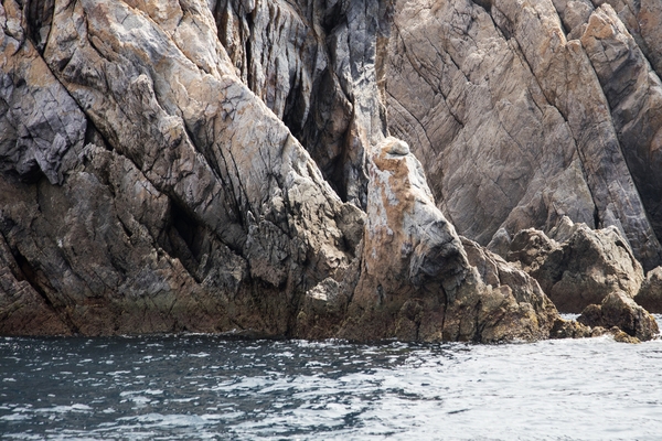 흑산 해상관광유람선 다물도코스 물개바위 원숭이바위 1