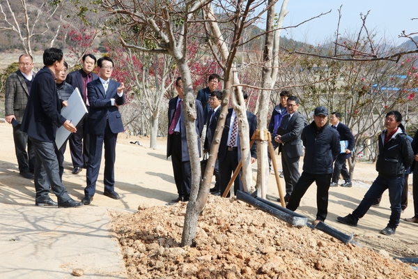 2019.03.06 도초면 현장점검 및 수국공원점검 3