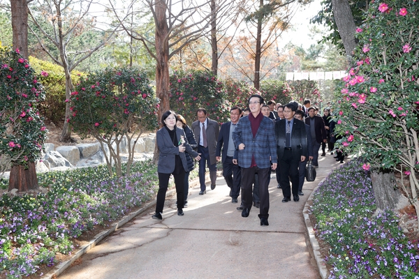 2019.12.13 섬겨울꽃애기동백축제 2