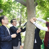 2020.06.20 풍란석곡자생지 복원화사업