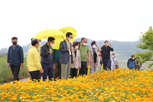 2021.05.27 선도 가고싶은섬 조성 현장방문(금영화) 1