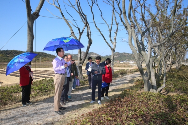 2022.10.30 도초면 수국공원 등 현장방문 2