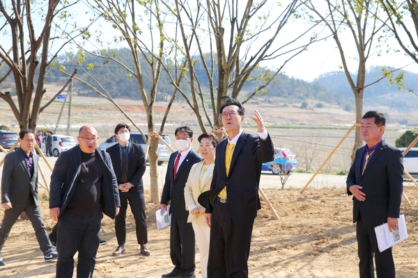 20230327_하의면 하귤(인동귤)식재현장방 1