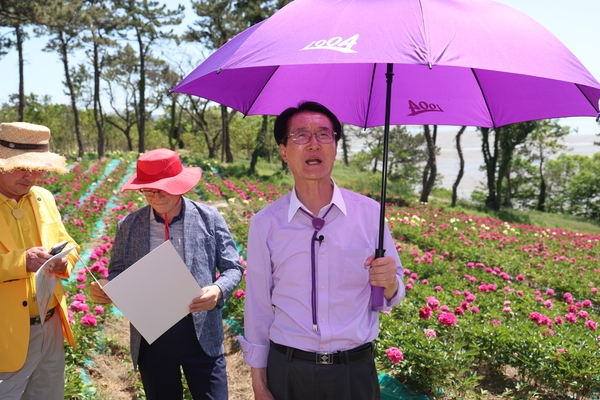 2024.05.14  하의면 옥도 작약정원 조성 현장점검 4