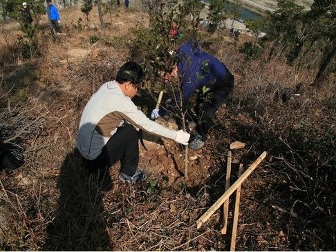 신안군, 한가정 1나무심기 운동 대대적 전개..