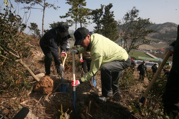 신안군, 제69회 식목일 기념 나무심기 행사..