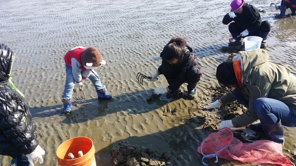 신안군, 농·어촌 체험 즐길 수 있는 농촌교육농장 육성..