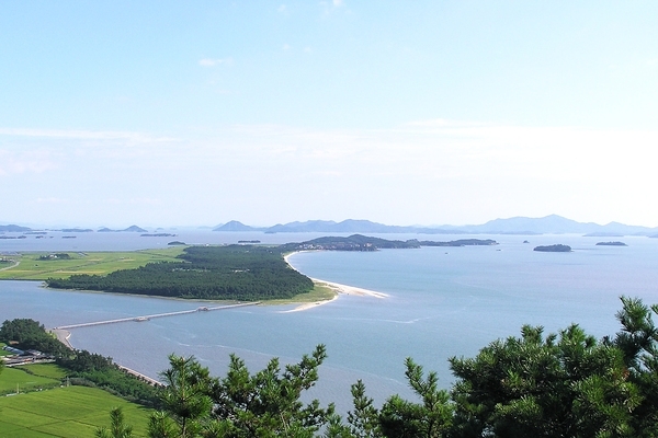 신안군, 증도 한반도 해송 숲 관광자원화 사업 탄력...'2017 정부예산안에 97억 반영'1