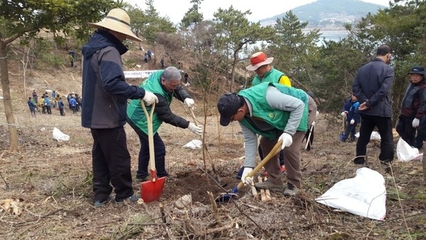 신안군, “제72회 식목일 나무심기 행사” 개최..