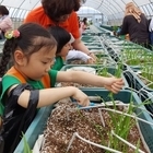 신안군, 농업기술센터 초·중·고생 농촌체험장으로 탈바꿈..'미래의 농촌지도자 육성...