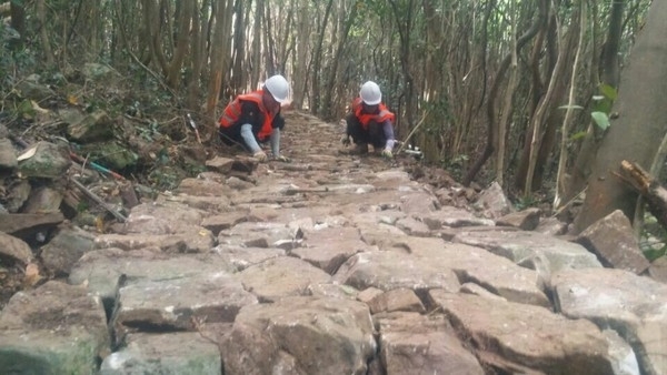 섬마을 ‘숲속의 힐링’ 산책로 개설1