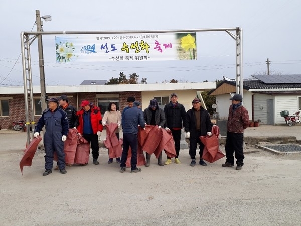 작은 섬 주민이 꿈꾸는 전국 최대 수선화 축제 대비 주민 대청소 실시 1