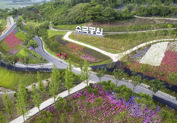 신안군, 전국유일 ‘섬 가을 수국축제’ 개최한다..