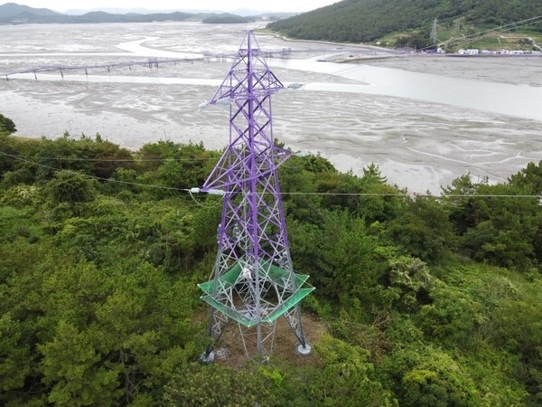 퍼플섬 배전 철탑, 보라색 옷 입고 조형물로 재탄생..