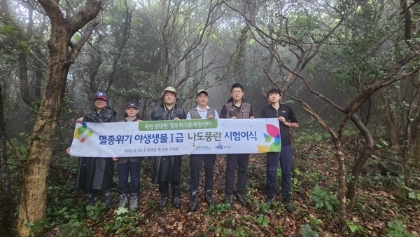 신안군, 멸종Ⅰ급 나도풍란 난대원시림의 보고 가거도에 이식..'멸종위기종 보전을 위해 나도풍란 200개체 가거도에 시험 이식'1