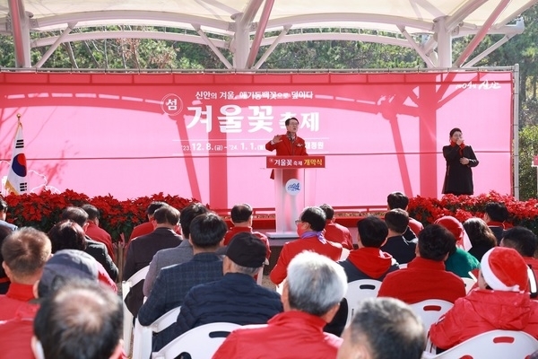 신안군의 화려한 겨울맞이, 제7회 섬 겨울꽃 축제 개막..'신안의 겨울, 애기동백꽃으로 덮이다'1