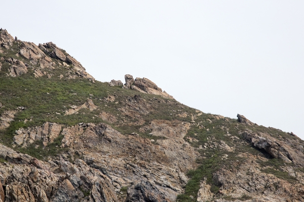 흑산 해상관광유람선 다물도코스 낙타바위 고래섬 토끼와 거북이 스님바위 어머니바위 4