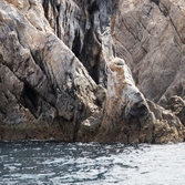흑산 해상관광유람선 다물도코스 물개바위 원숭이바위