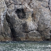 흑산 해상관광유람선 다물도코스 해골바위 홍어동굴